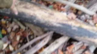 Bigfoot stick structures