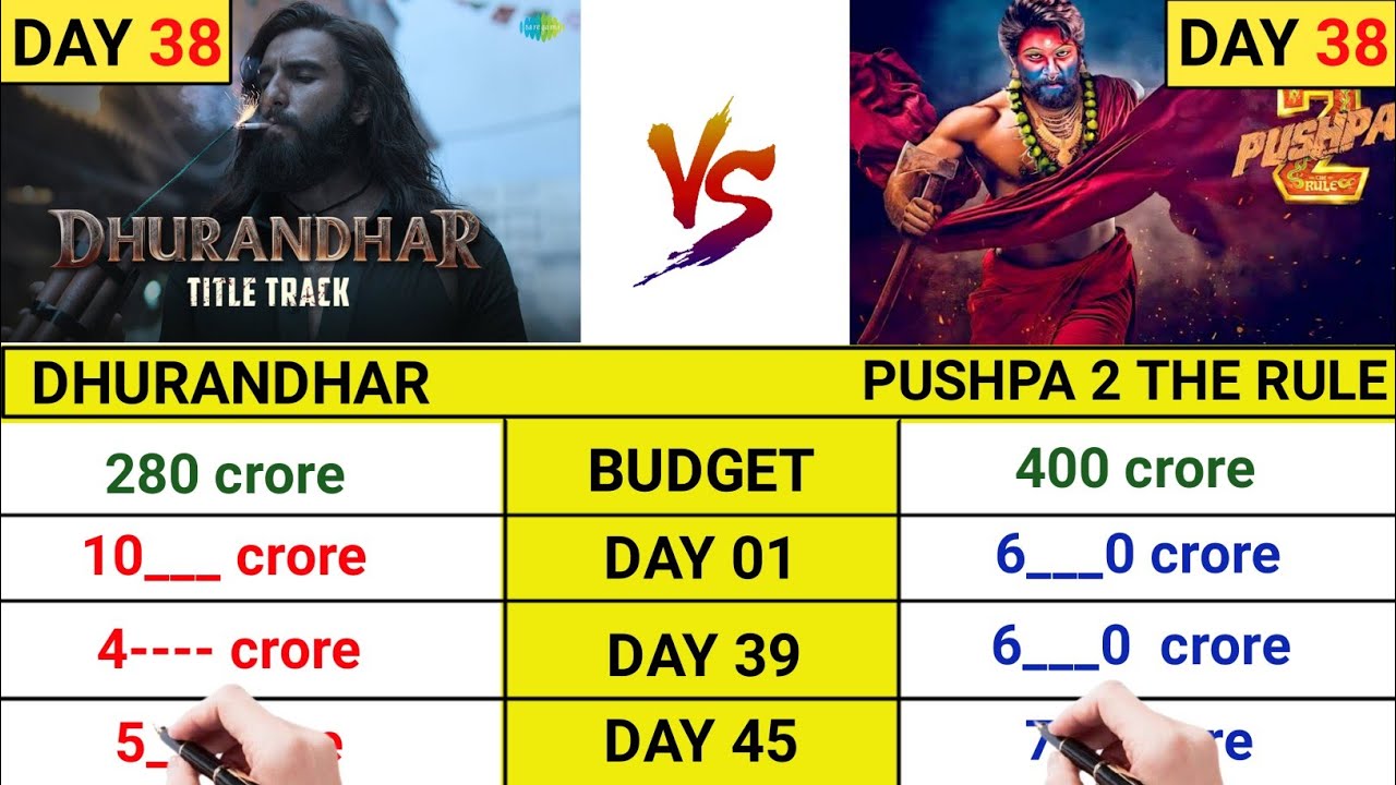 Dhurandhar movie day 38 collection|Dhurandhar|Pushpa 2|Allu Arjun|Ranveer Singh| topalways 