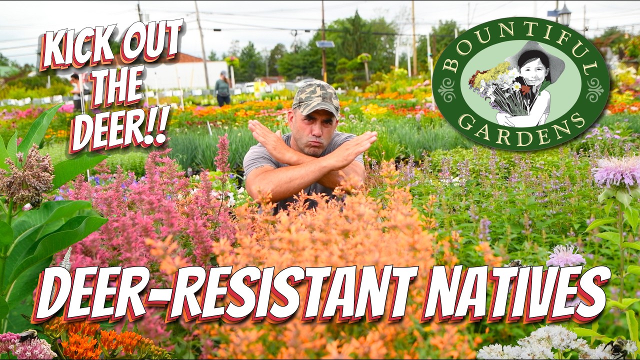 🛑 Stop Feeding the Deer! (Plant THESE Natives Instead) 🦌