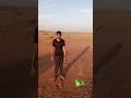 like & comment
