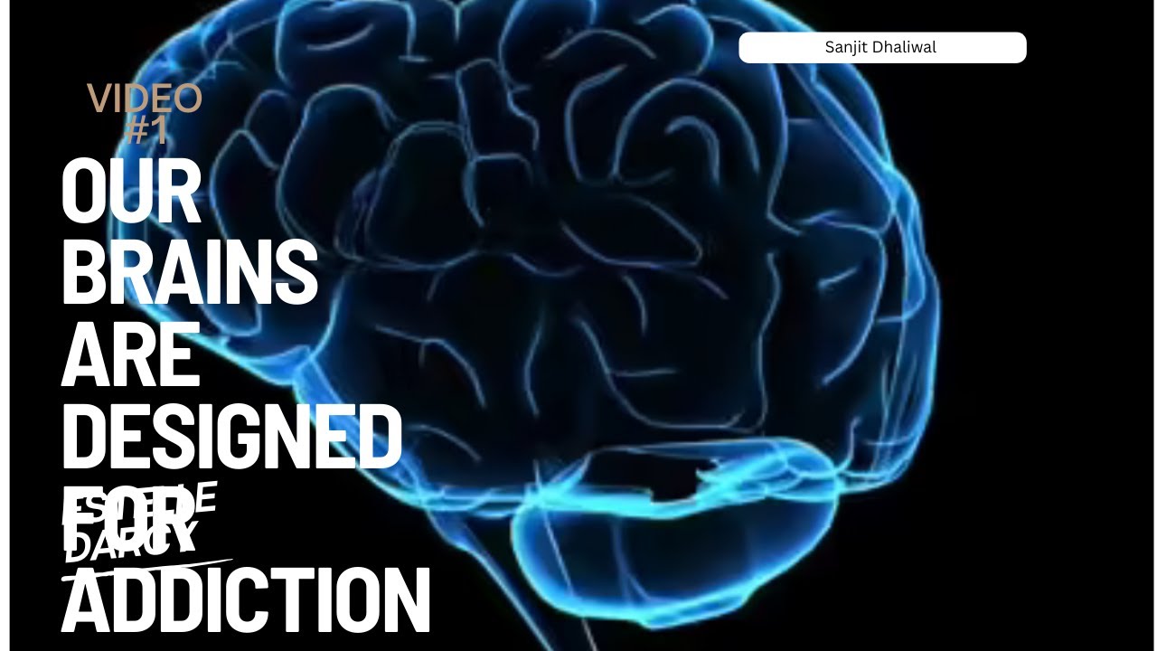 Addiction 101 - we are designed for addiction - YouTube