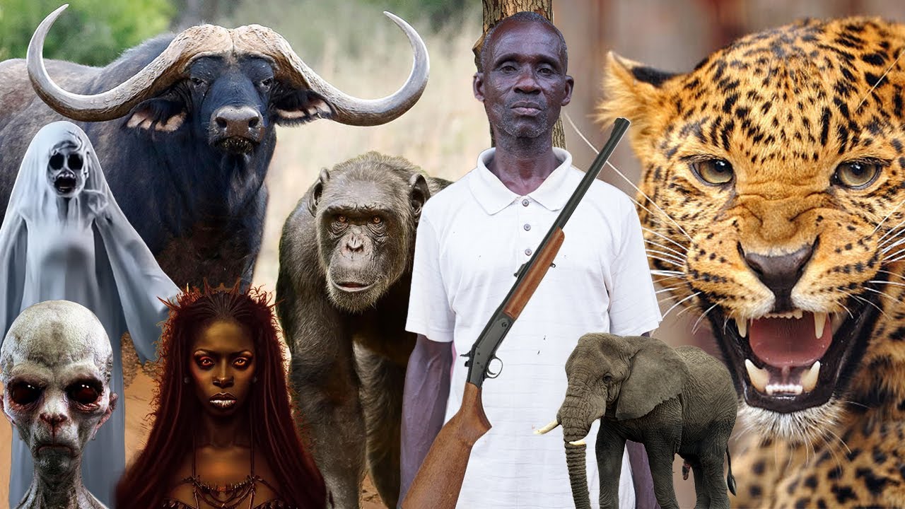 Eeii😳WONDERS, I met a Giant black man with fire on his body at midnight. A Big Elephant chased me .