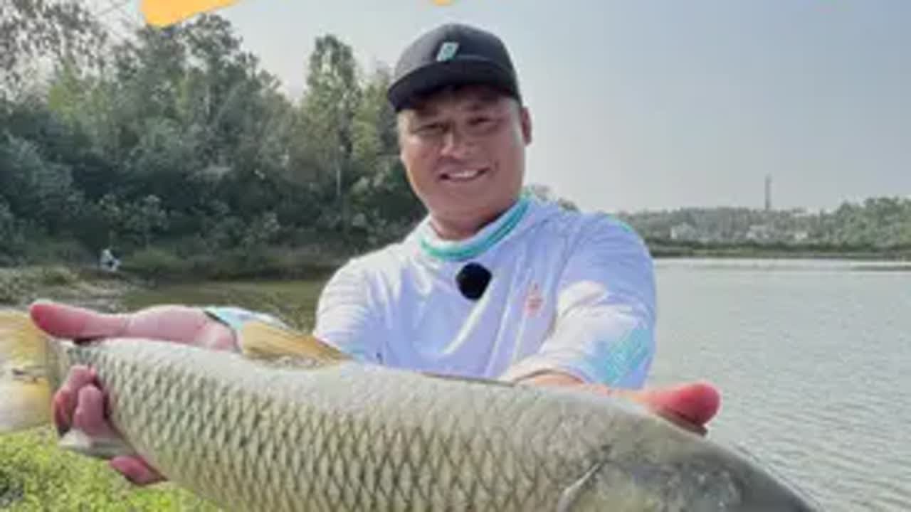 只要你肯打龟,你就有打不完的龟 但是我偏不信!2024dou来钓鱼 原来钓鱼才是抖音运动顶流 冬天钓鲫鱼有多过瘾 不打龟 真火羽 @刘志强钓鱼 ...