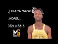 PULA YA MAZWI NDAGUI 0621118216 PULA YA MAZWI NDAGUI 0621118216