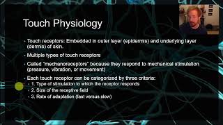 PSYC 359: Chapter 13: Touch (mechanoreceptors, pain, phantom limb, rubber hand illusion, S1)