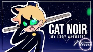 Miraculous Ladybug movie short animatic| 'My Lady' by Drew Ryan Scott