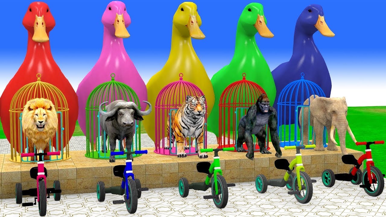Long Slide Game With Cow Elephant Gorilla Hippopotamus Tiger 3d Animal Game Funny 3d Animals