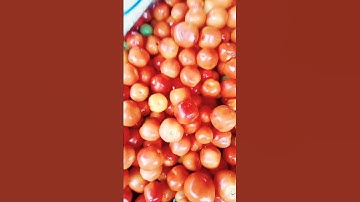 #asmr satisfying beautiful tomatoes #vlog shortsvideo #viral
