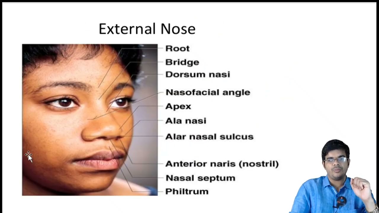 #anatomy #nosedoctor #nose #pns #doctor #eardoctor #education #neet #neetpg #otorhinolaryngology