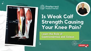 Is Weak Calf Strength Causing Your Knee Pain? Learn the Role of Gastrocnemius and and Soleus