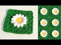 Beautiful Granny Square You’ll Want to Make Today | crochet daisy granny square |Hamida's Handcraft