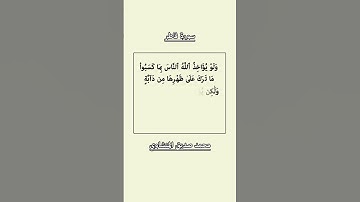 سورة فاطر، الآية 45، محمد صديق المنشاوي.