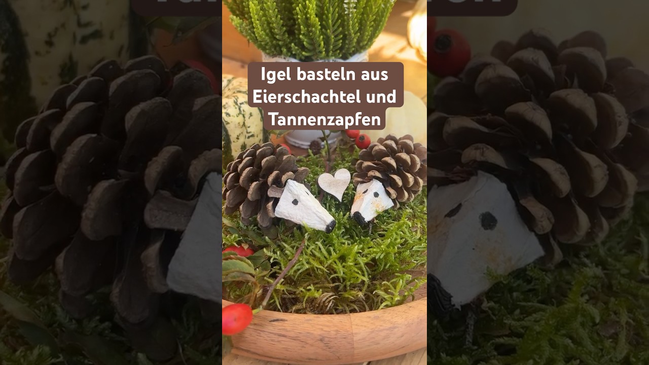 Igel basteln aus Tannenzapfen und Eierschachtel. Schnelle und einfache Herbstdeko zum Selbermachen🦔