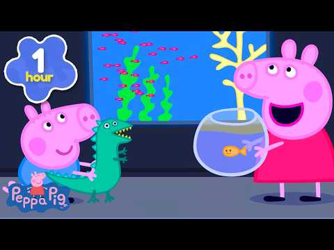 🐠 Akvarijum & Neverovatna Morska Stvorenja + Još Crtanih Filmova za Decu! 🐙 | Pepa Prase