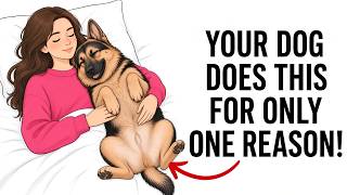 If Your Dog Does This, You're a Better Owner Than You Think!
