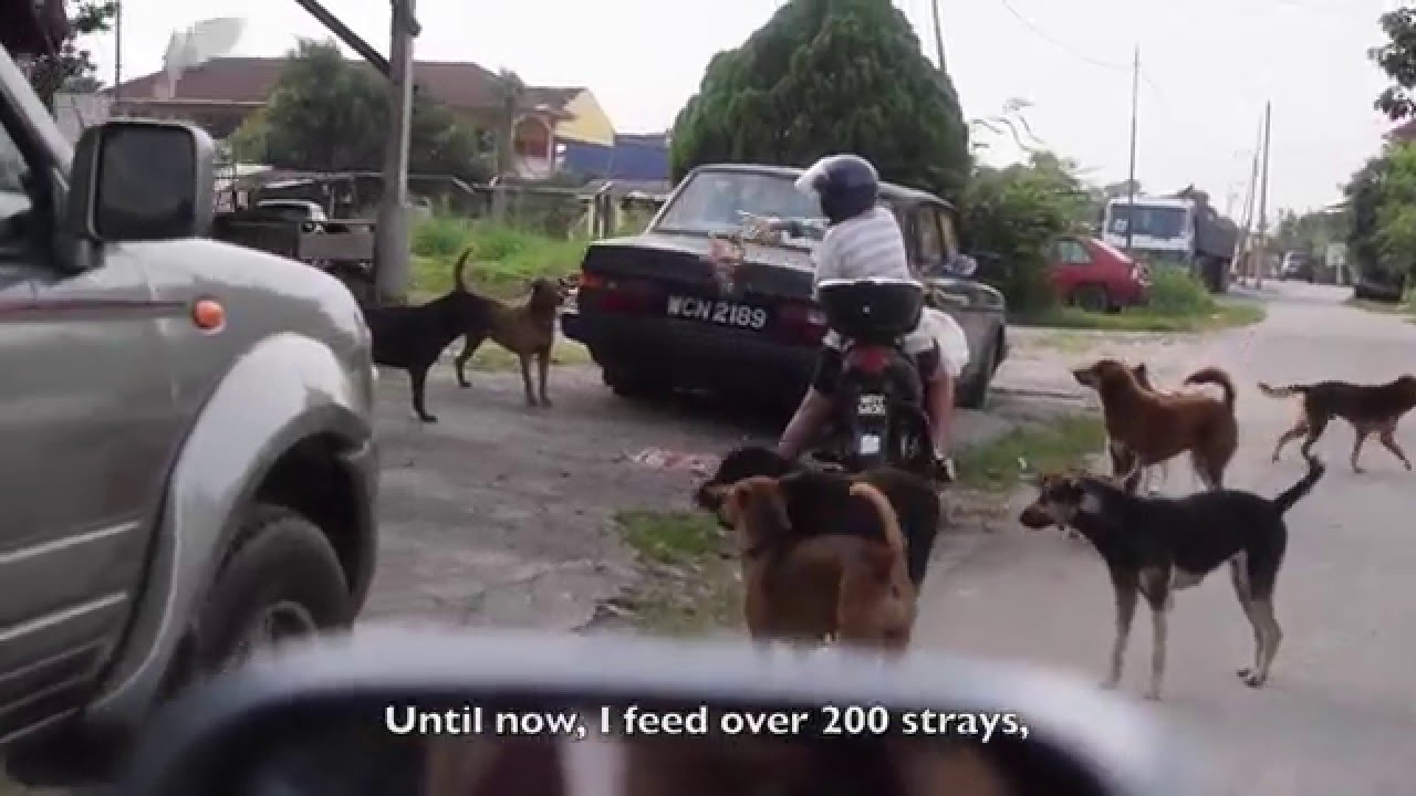 The Dog Keeper (2016)