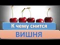 К чему снится ВИШНЯ ЧЕРЕШНЯ СОННИК