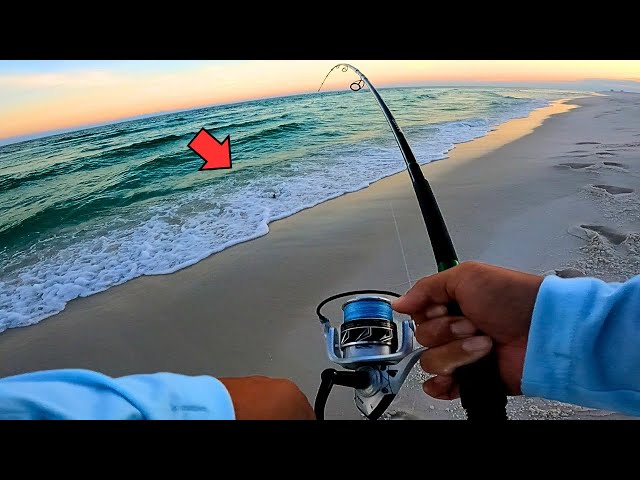 Surf Fishing the Evening Bite and Caught Dinner! 