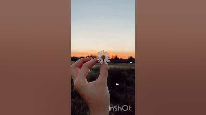 #эстетика #кайф #закат #вид #кайф