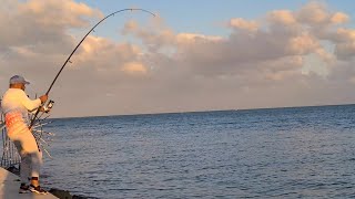 Caught A Yellow Jack And Cooked It Fishing 4K Uhd
