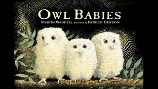 Owl babies 1080P 小貓頭鷹中英文字幕 