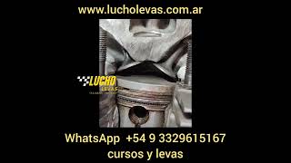 Levas De Competición Secretos