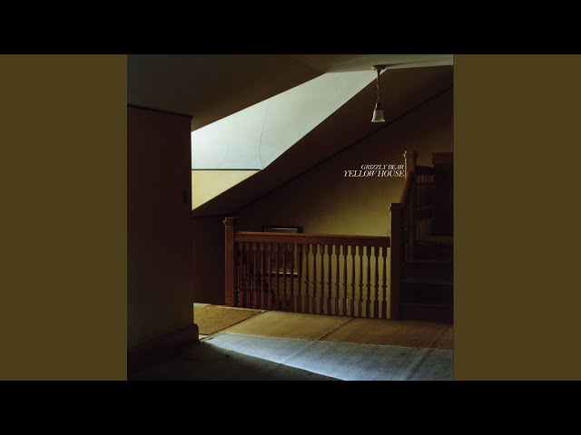 Little BrotherNEW!Grizzly Bear