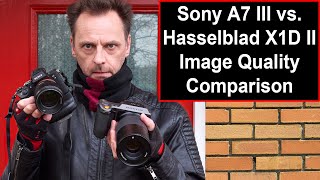 Sony A7 III vs Hasselblad X1D II 50C Image Quality Comparison