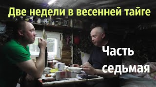 Пол месяца в весенней тайге/в ожидании гуся/рыбалка/быт в избе/7 часть