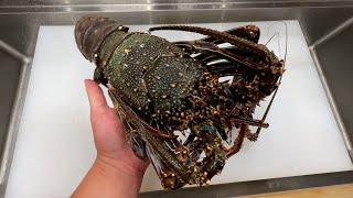 Japanese Fisherman Handles and Eats a Monstersized Spiny Lobster!