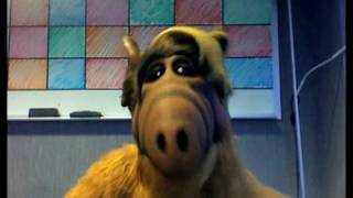 Alf on eharmony