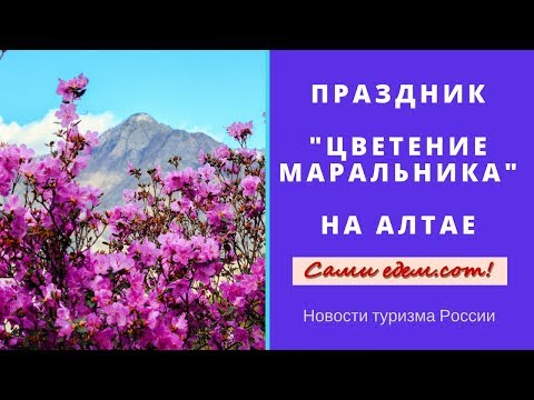 Праздник