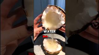 This Coconut Has Jelly Inside ! #shorts