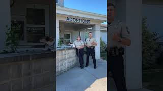 Summer crime report numbers and Rockingham Animal Control Rocktown Now Crime Report August 29, 2025