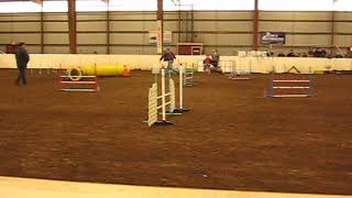 January 3, 2009 - AKC Jumps With Weaves Novice Agility Course