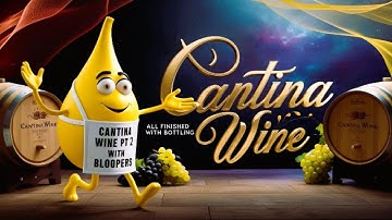 Wine Kit Tutorial The Secret to Fermentation Success! Part 2