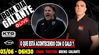 🚨AO VIVO🚨  O QUE ESTÁ ACONTECENDO COM O GALO❓