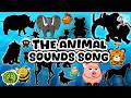 ABC Color Zoo Song! 🐾 AC3AL4 Learn Animals, Sounds &amp; Colors A to Z