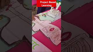 Project Based Learning ।। Digestive System by PBL ।। Science Project ।। short video