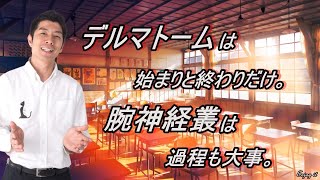 デルマトームは始まりと終わりだけ。腕神経叢は過程も大事。