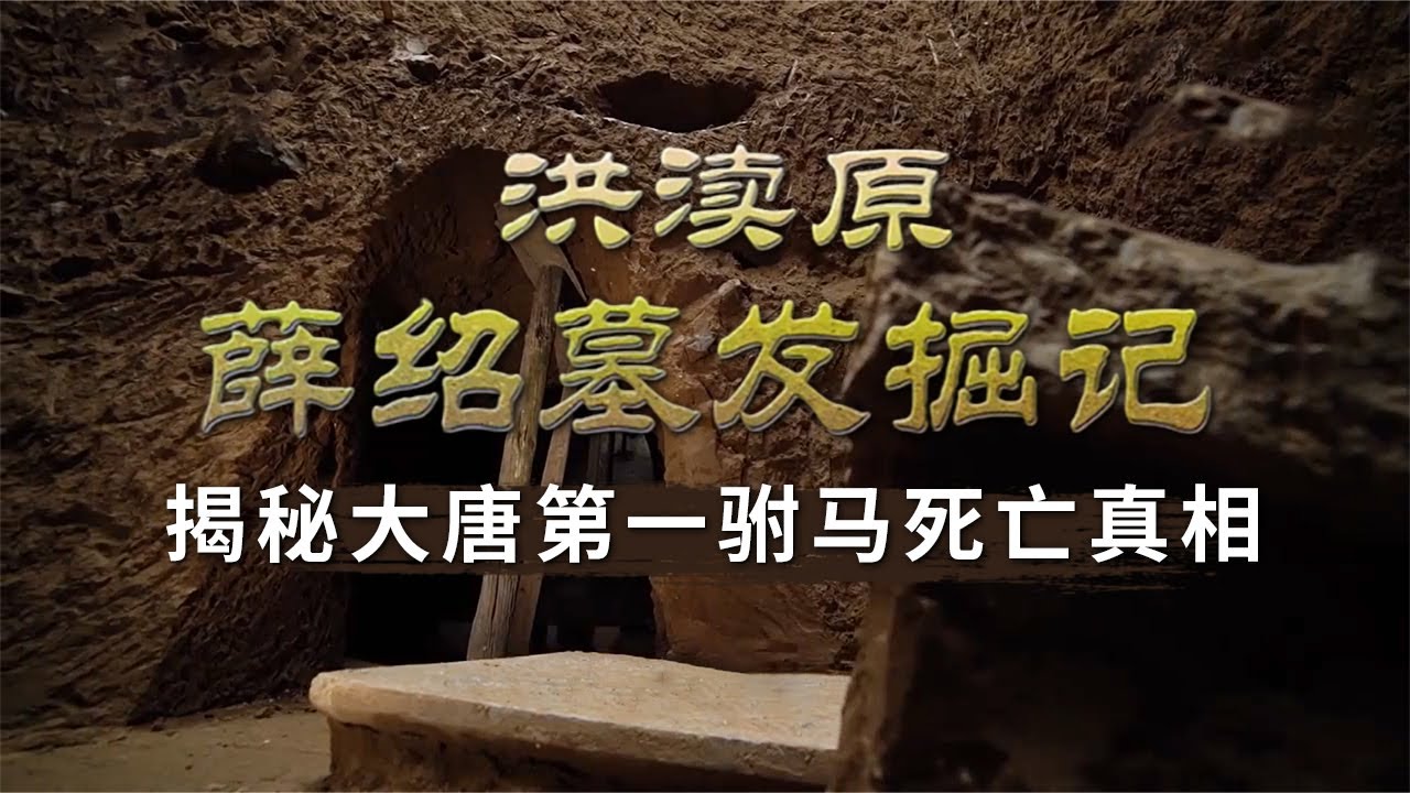 皇帝特批超规格下葬 竟被“巫术”诅咒！薛绍墓离奇发现 揭秘1300多年前不为人知的历史！——薛绍墓特辑 丨 中华国宝