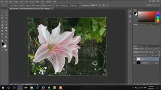 Multimedia - Geometric Transformations