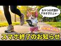 【自業自得】おやつのために頑張りすぎて、スマホを終了させた猫 AI猫にゃんこちん