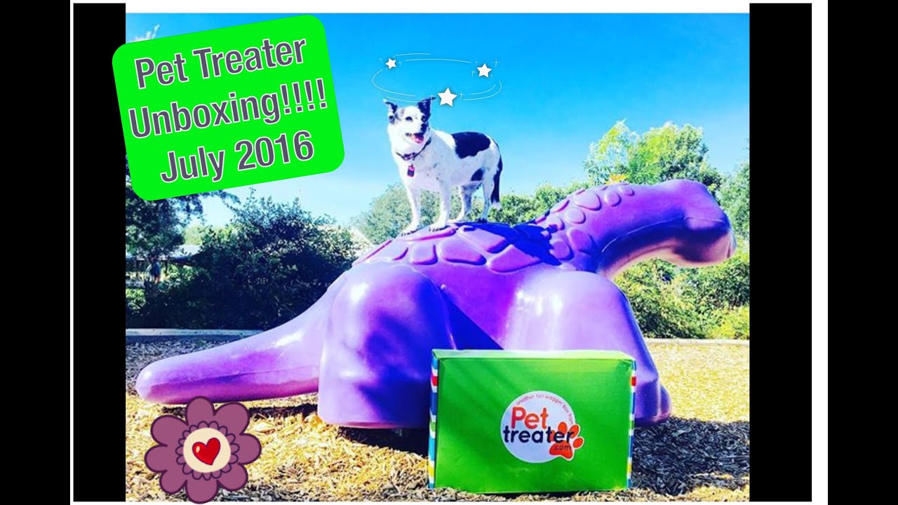 Pet Treater Unboxing | July 2016