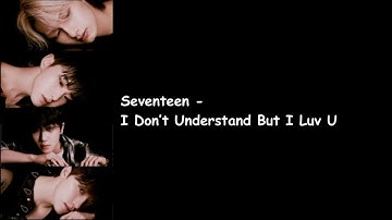 Seventeen Performance Team - I Don’t Understand But I Luv U (FML Album) Lyrics Video
