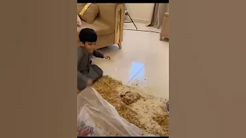 هاي نهاية كل واحد يشجع ميسي شيل شيل شيل ياطويل العمر شيل 