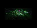 You and me tomorrowland edition 2025 #reels #shorts #tomorrowland #techno #music  #dj  #party  #rave
