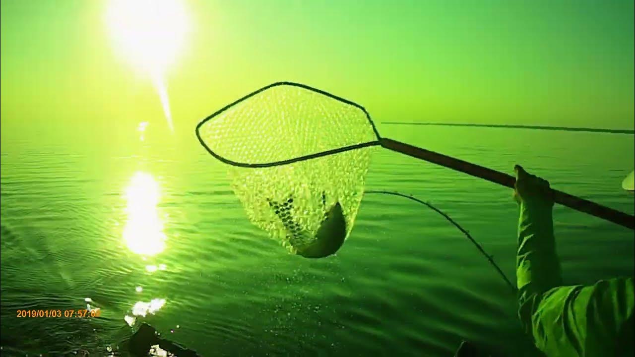 Olcott NY King Salmon DIPSY DIVER JAMES SIMON GLENN OSBORNE