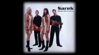 Sarek - Vinterland