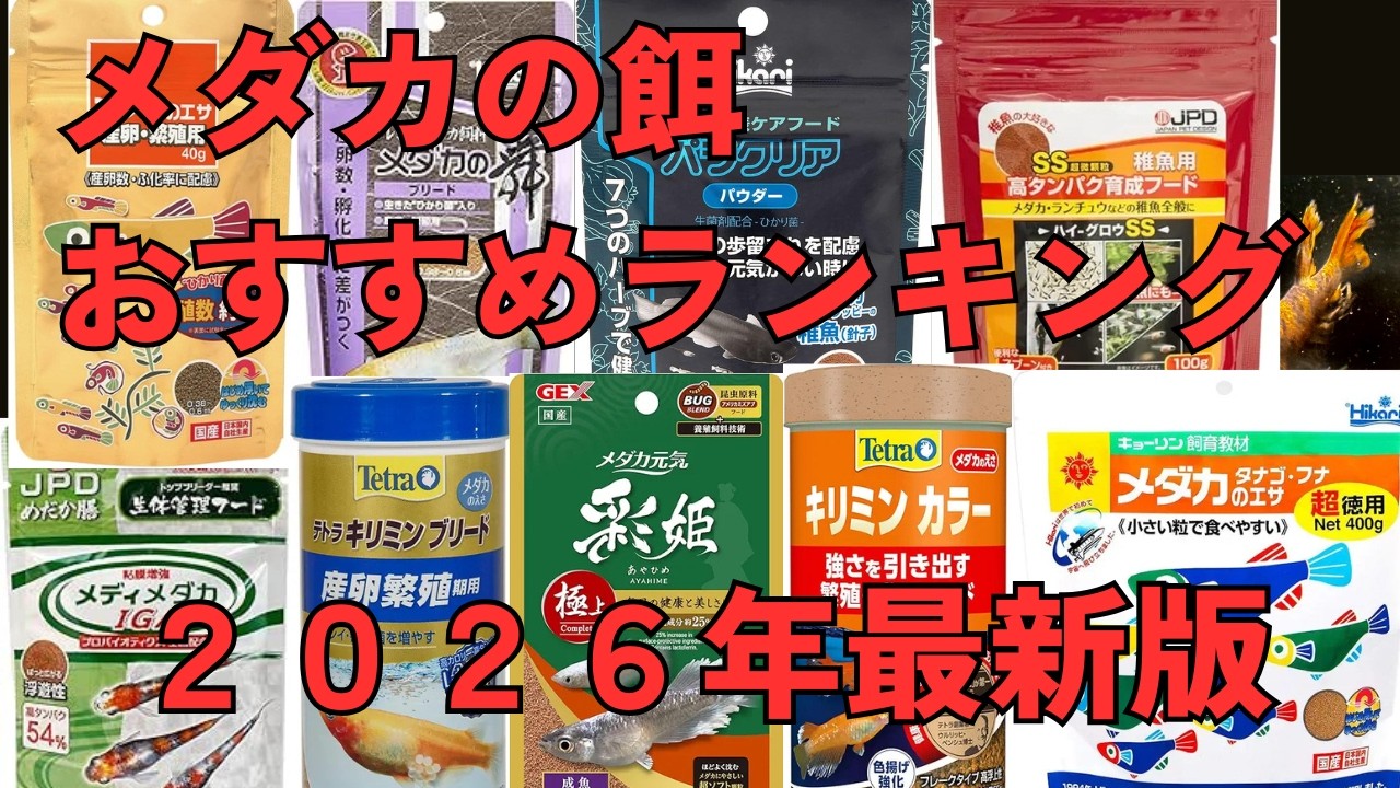 メダカの餌おすすめランキング2026最新版！産卵繁殖、病気予防、稚魚針子におすすめの餌はどれ？